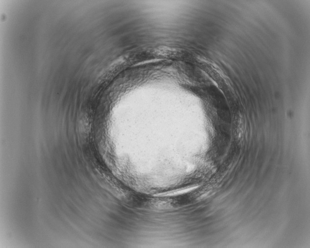 X0000086930569200705071356