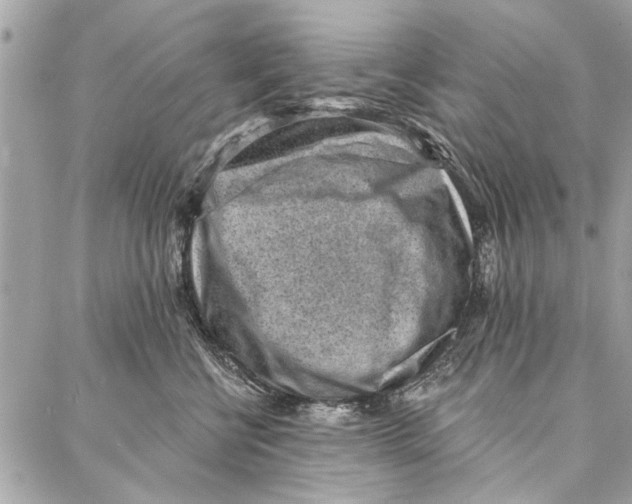 X0000086930570200705071356