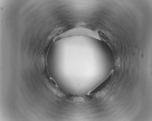 X0000086930572200705071356