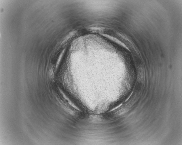 X0000086930573200705071356