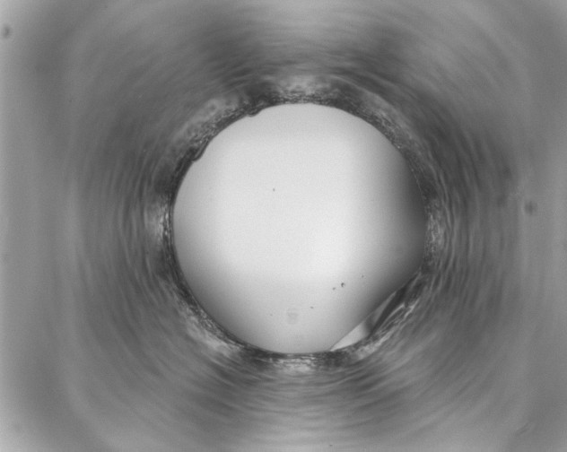 X0000086930574200705071356