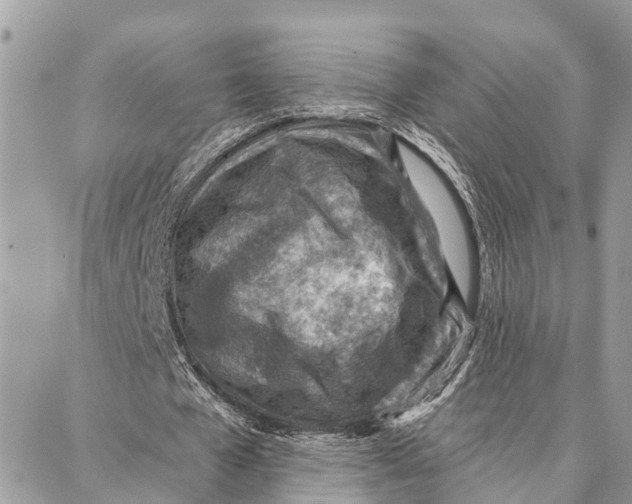 X0000086930577200705071355