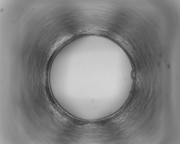 X0000086930578200705071355