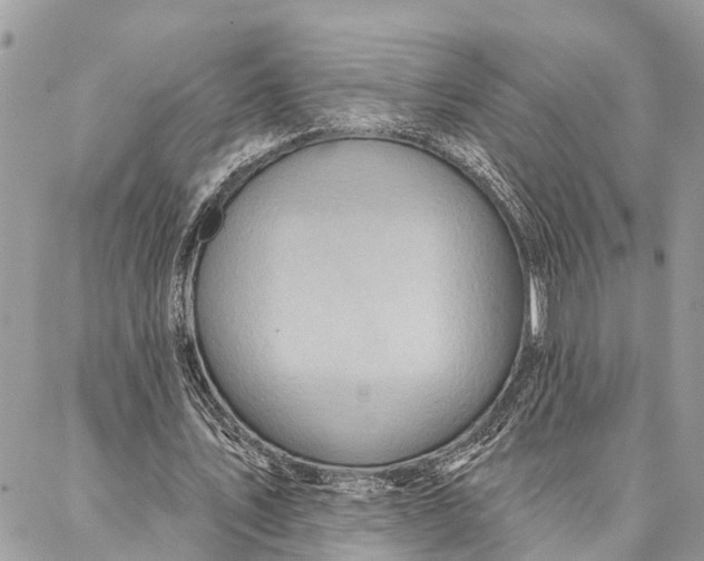 X0000086930579200705071355