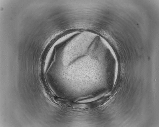 X0000086930580200705071355