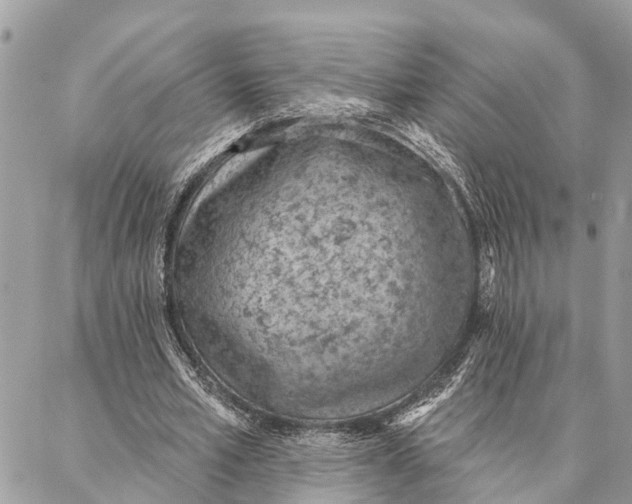 X0000086930581200705071355