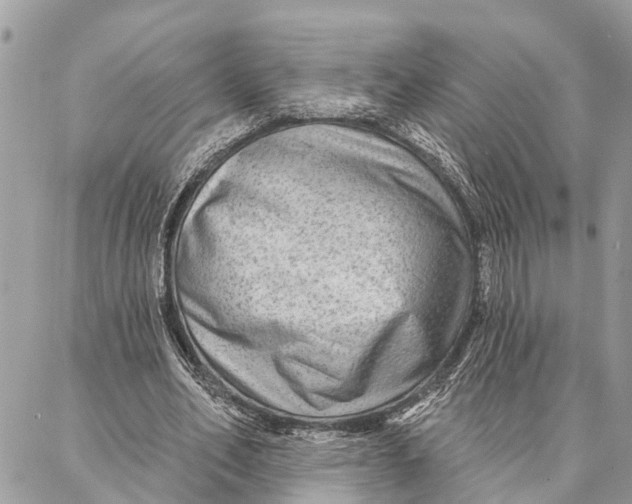 X0000086930582200705071355