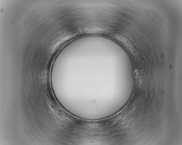 X0000086930583200705071355