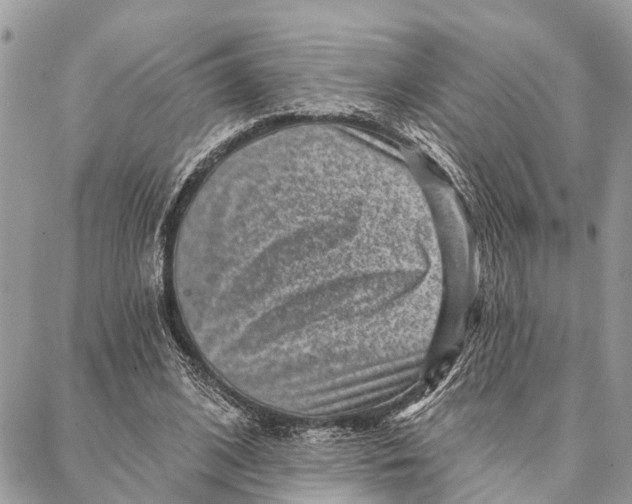 X0000086930584200705071355