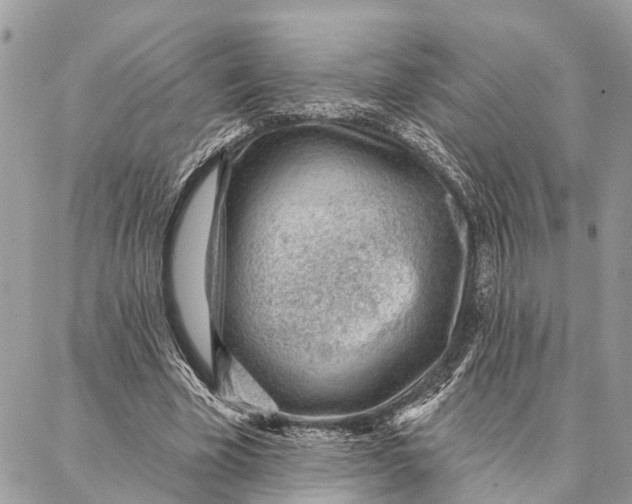 X0000086930585200705071355