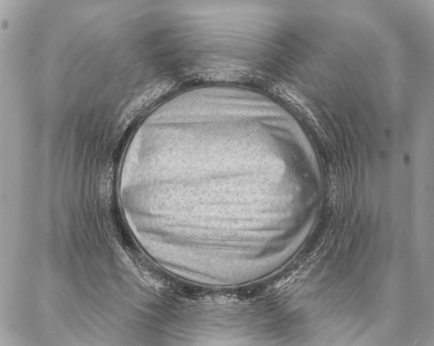 X0000086930586200705071355