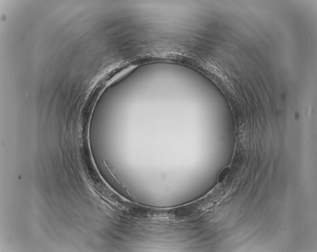 X0000086930587200705071355