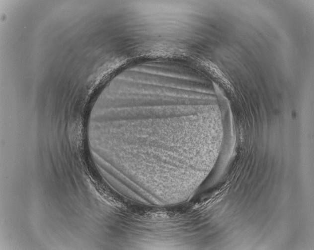 X0000086930588200705071355