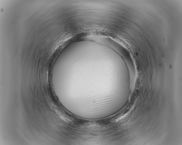 X0000086930589200705071355