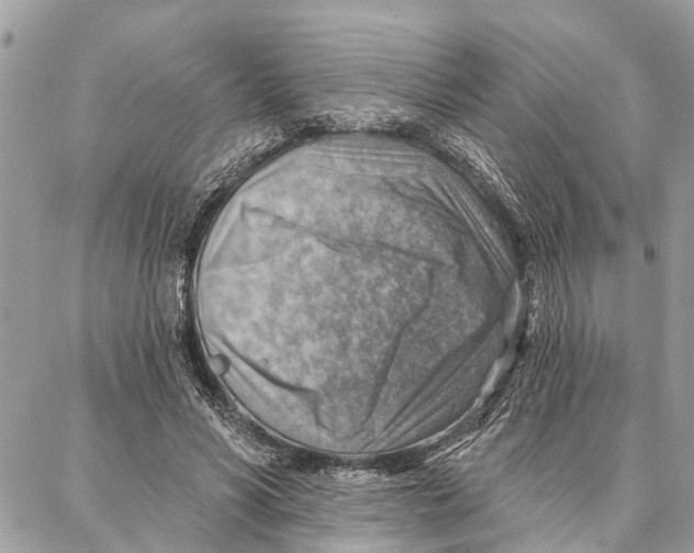 X0000086930590200705071355