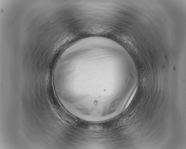 X0000086930591200705071355