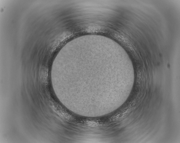 X0000086930592200705071355