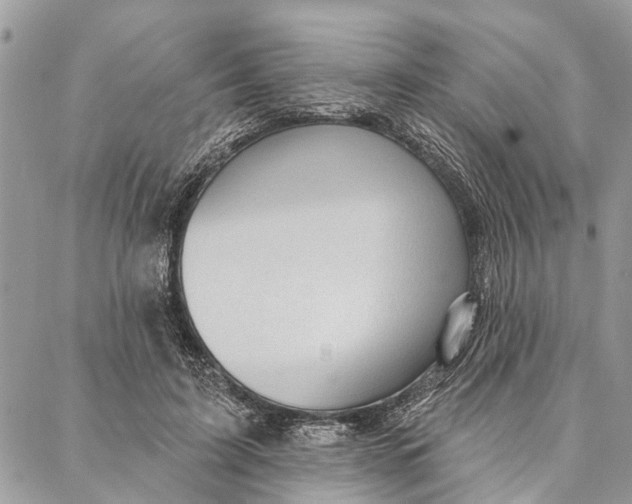 X0000086930595200705071355