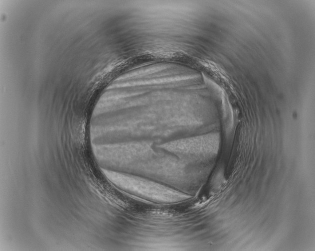 X0000086930596200705071355