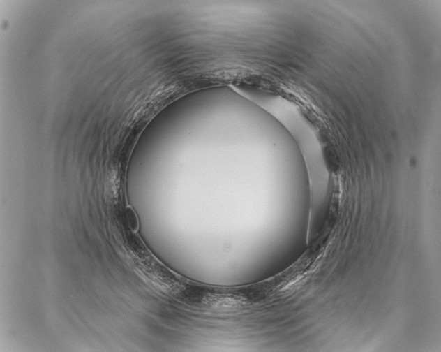 X0000086930597200705071355