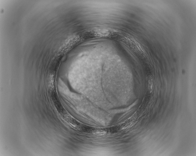 X0000086930598200705071355