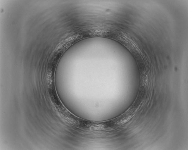 X0000086930599200705071355