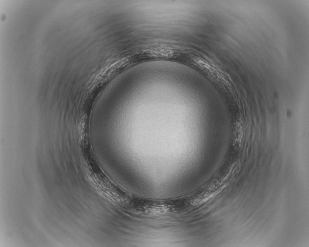 X0000086930600200705071355