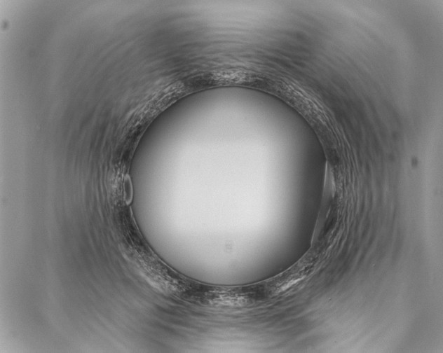 X0000086930601200705071355