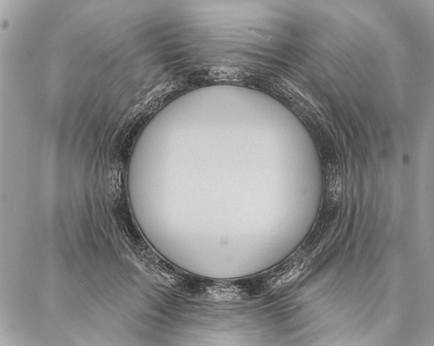 X0000086930603200705071355