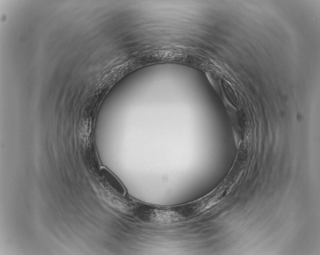 X0000086930605200705071355