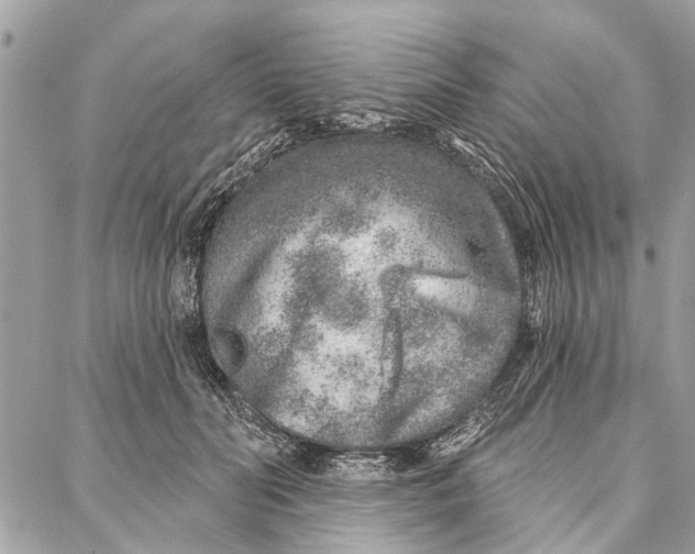 X0000086930606200705071355