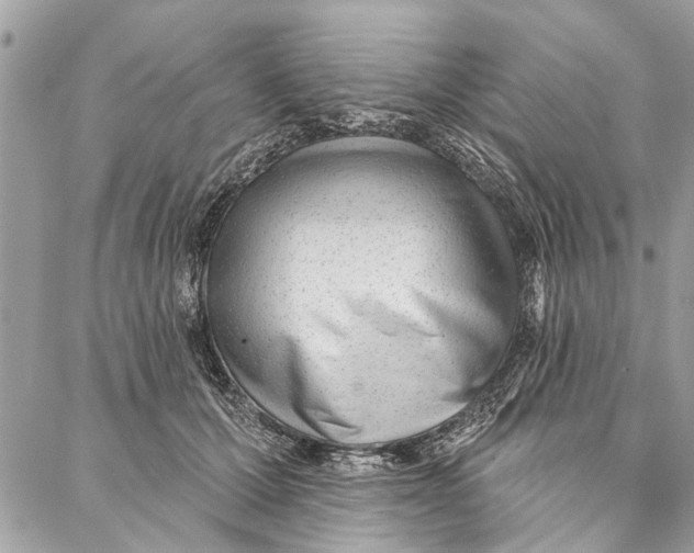 X0000086930607200705071355