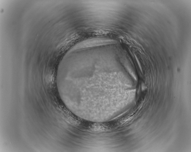 X0000086930608200705071355