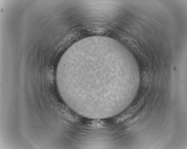 X0000086930612200705071355