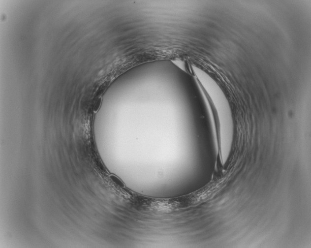 X0000086930613200705071355