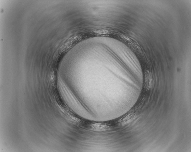 X0000086930614200705071355