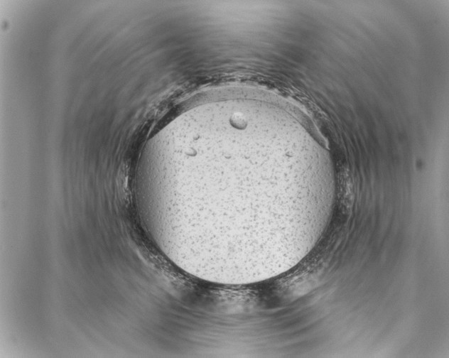 X0000086930615200705071355