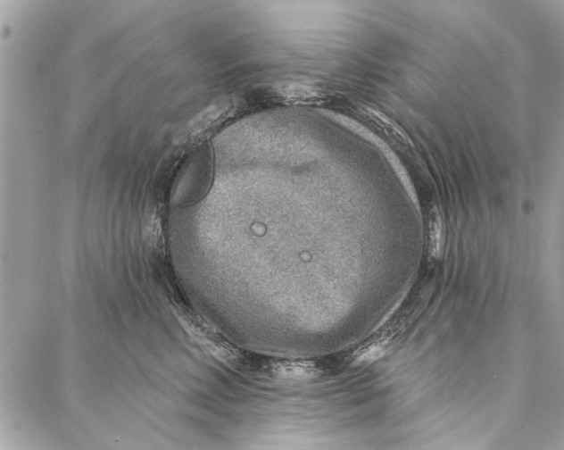 X0000086930618200705071355