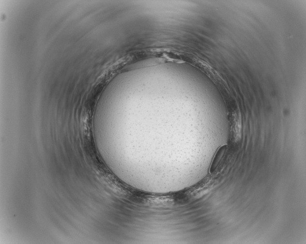 X0000086930619200705071355