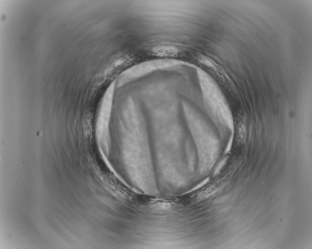 X0000086930620200705071354