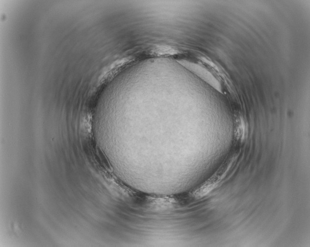 X0000086930621200705071354