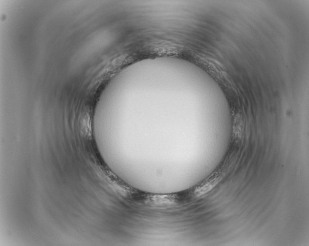 X0000086930622200705071354