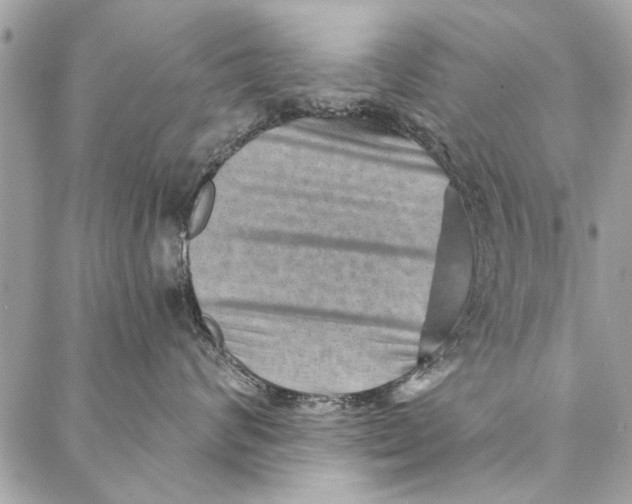 X0000086930624200705071354