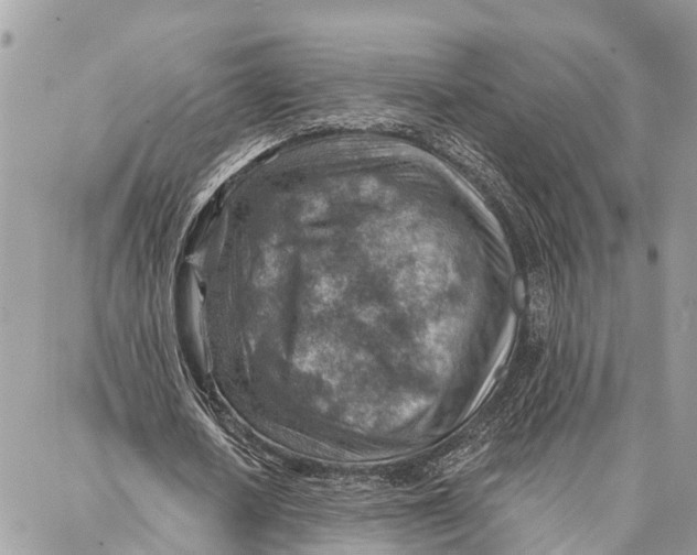 X0000086930626200705071354