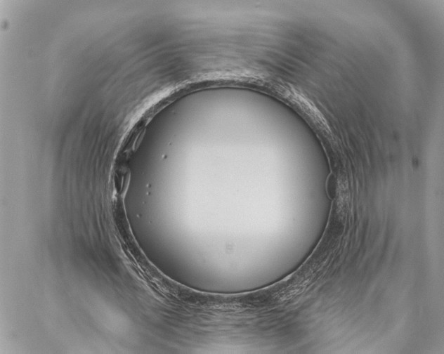 X0000086930628200705071354