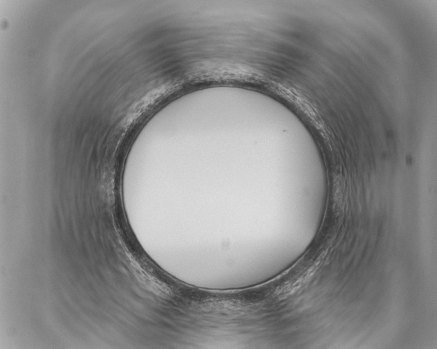 X0000086930629200705071354