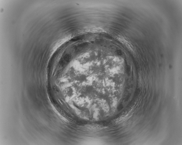 X0000086930630200705071354