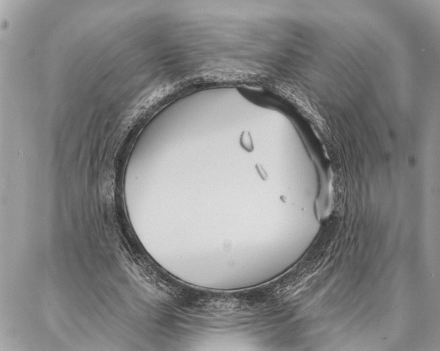 X0000086930631200705071354