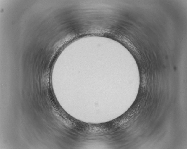 X0000086930632200705071354