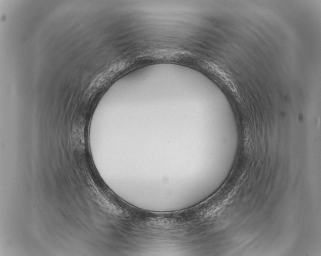 X0000086930633200705071354